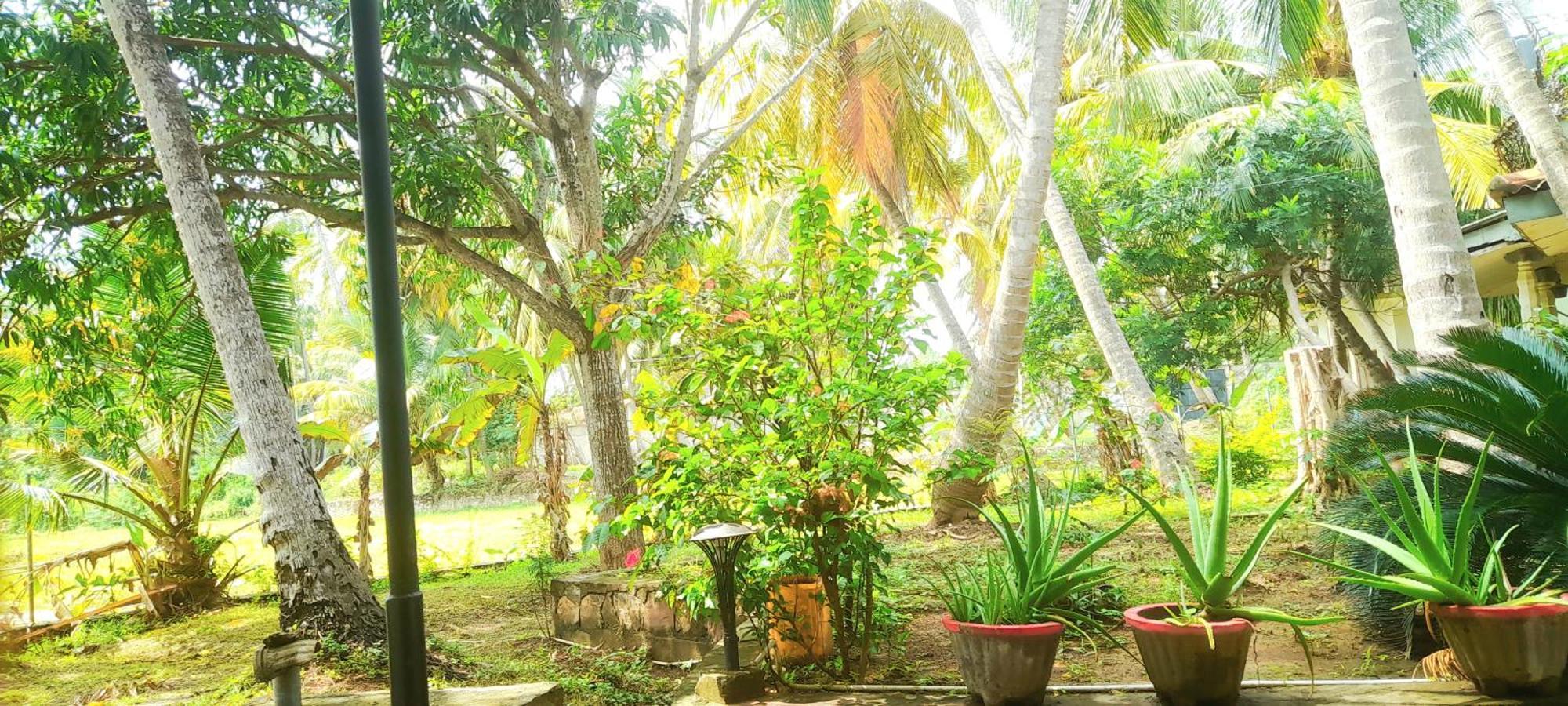 Traveller's Home Hotel Tissamaharama Rom bilde